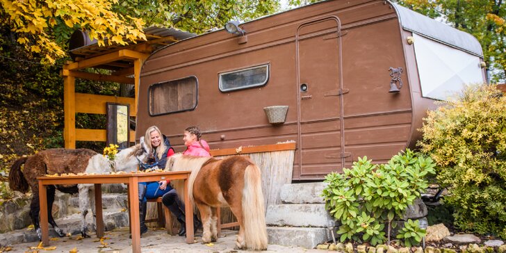 Pobyt se snídaní v rančerském karavanu, maringotce nebo chatce mezi zvířátky s možností vyjížďky na koních
