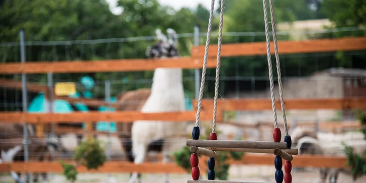 Pobyt v karavanu mezi zvířátky s možností vyjížďky na koních