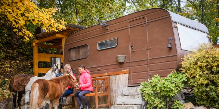 Pobyt mezi zvířátky na ranči: karavan, chatka či maringotka, mini zoo, koně a možnost snídaní