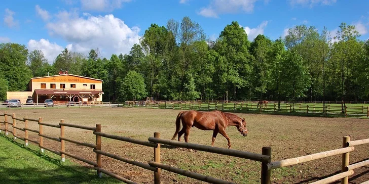Pár super dnů s polopenzí v chatičkách nebo ve srubu na koňském ranči
