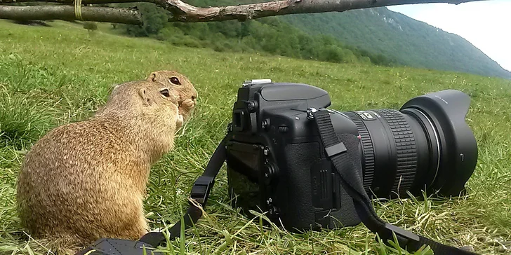 Pobyt v Národním parku Muránska planina: chata či apartmánové domky, snídaně i wellness