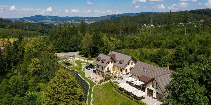 Relaxační pobyt v krásném penzionu na kraji lesa: polopenze a wellness až pro 4 osoby