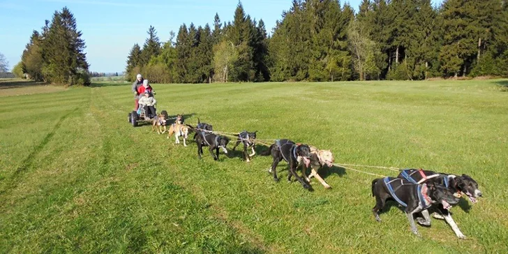 Jízdy se psím spřežením na 60 nebo 90 minut ve dne nebo v noci až pro 2 osoby