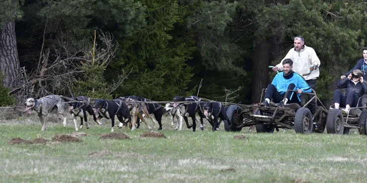 Jízdy se psím spřežením na 60 nebo 90 minut ve dne nebo v noci až pro 2 osoby