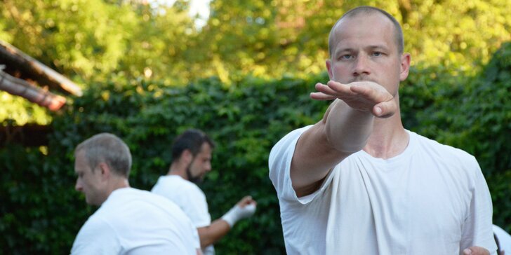 Měsíční vstup: Kung Fu a sebeobrana pro začátečníky ve škole Wing Chun