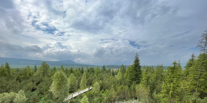 Apartmány blízko NP Šumava: krásné historické prostory, možnost pivních lázní i sauny