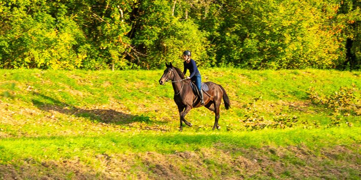 Pobyt na farmě kousek od Znojma: 2 noci až 14 dní i se snídaní či polopenzí a projížďkou v koňském sedle