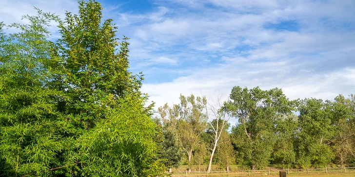 Pobyt na farmě kousek od Znojma: 2 noci až 14 dní i se snídaní či polopenzí a projížďkou v koňském sedle