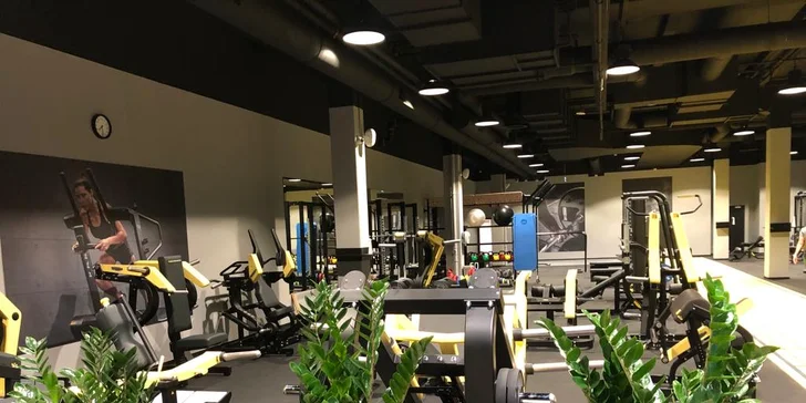 Cvičte od rána do večera: celodenní vstup do moderního fitness centra v Plzni