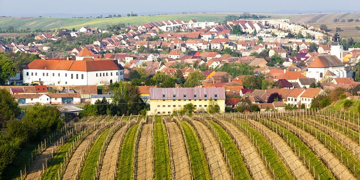 Pobyt v království vína: 1 nebo 2 noci na zámku Čejkovice s polopenzí a prohlídkou zámku