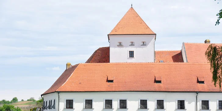 Pobyt v království vína: 1 nebo 2 noci na zámku Čejkovice s polopenzí a prohlídkou zámku