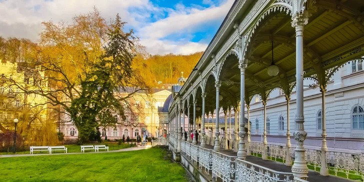 Relax v Krušných horách: wellness, polopenze a výlety i možnost lyžování