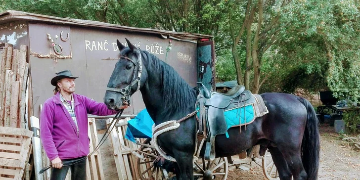 Vyjížďka na koni v Moravském krasu či jízda kočárem lokalitou dle výběru