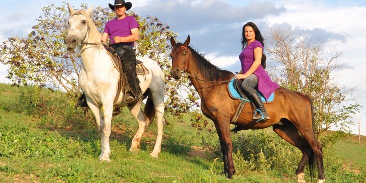 Vyjížďka na koni v Moravském krasu či jízda kočárem lokalitou dle výběru