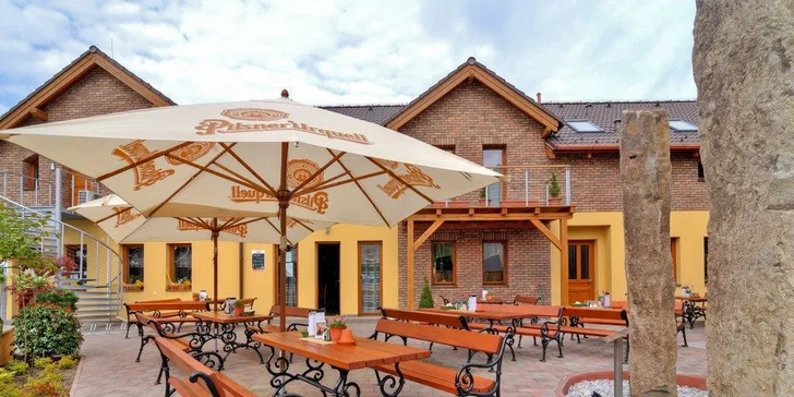 BBQ kuřecí křídla dle výběru s blue cheese dresingem, mrkví a řapíkatým celerem pro 1 nebo 2 osoby
