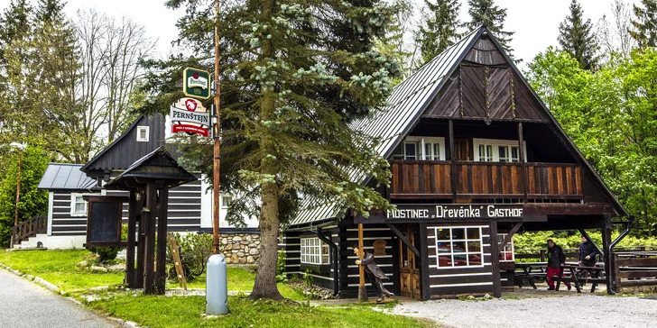 Aktivní pobyt v Krkonoších ve stylovém penzionu Dřevěnka s polopenzí