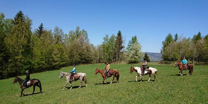 Svět ze sedla: vyjížďka na koni nebo výcvik v jízdárně pro 1 osobu