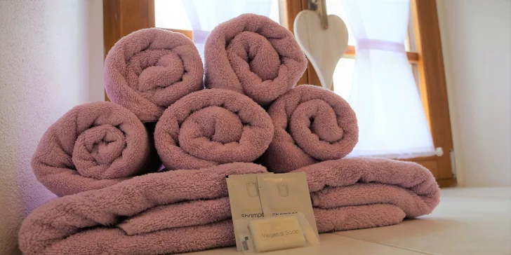 Rodinná dovolená na jižní Moravě: snídaně nebo polopenze i privátní wellness pro 4 osoby