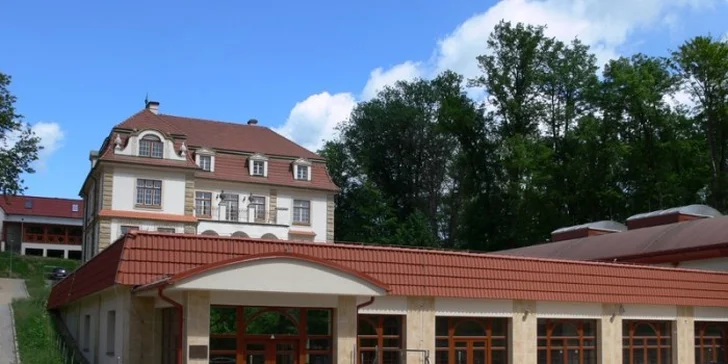 Wellness odpočinek s masáží pro dva v termálních lázních