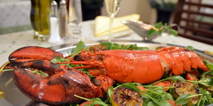 Americký humr pro dva v restauraci Oliva Nera