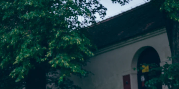 Pro posílené tělo: online lekce jin jógy, fitness a barre cvičení či Body & Mind program