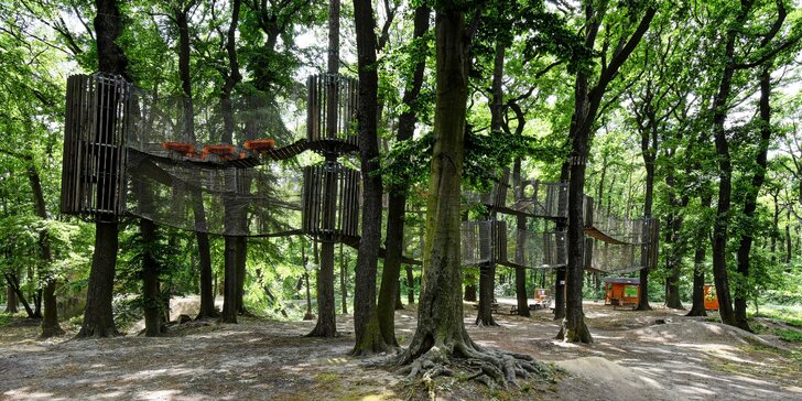 Zábava nad zemí: celodenní vstupy do 3D bludiště v korunách stromů Osek