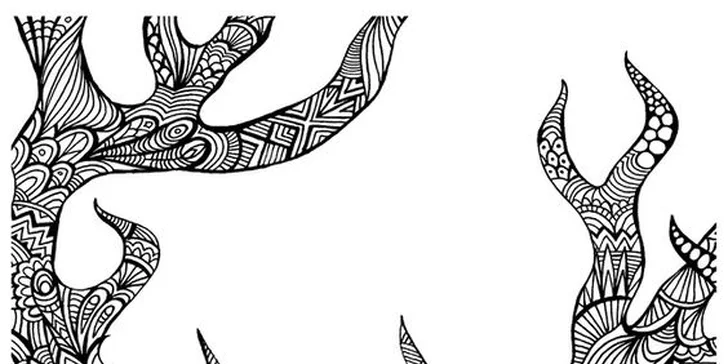 Kurz kresby, malby akrylem, olejomalby nebo relaxačního malování zentangle
