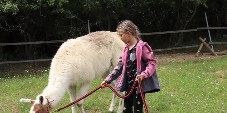 S dětmi za zvířátky: setkání na farmě a procházka s kozami nebo lamou