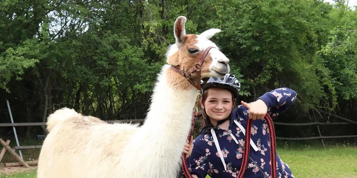 S dětmi za zvířátky: setkání na farmě a procházka s kozami nebo lamou