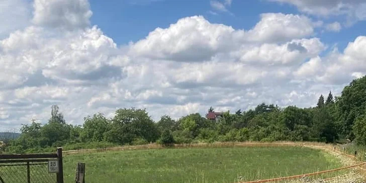 S dětmi za zvířátky: setkání na farmě a procházka s kozami nebo lamou