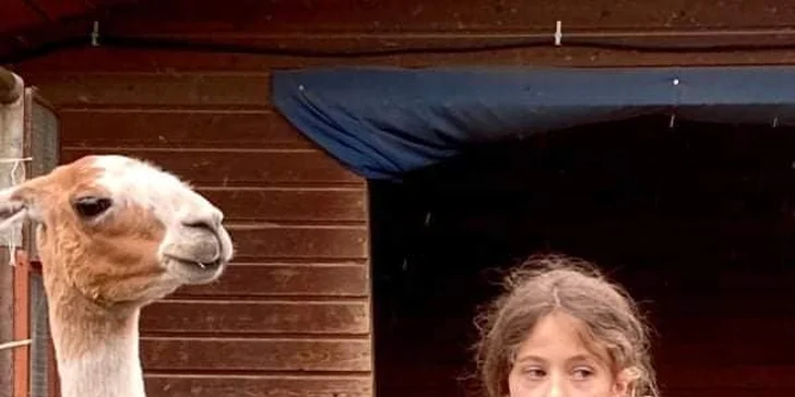 S dětmi za zvířátky: setkání na farmě a procházka s kozami nebo lamou