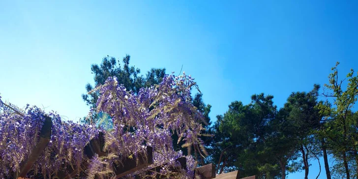 Dovolená v Chorvatsku: 4* hotel 100 metrů od pláže, bazény a all inclusive