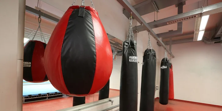 1, 5 nebo 10 denních vstupů do fitness a na VacuShape pro redukci pomerančové kůže
