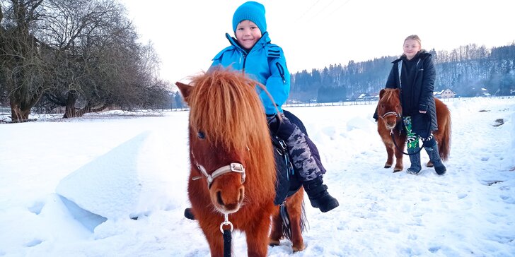 Ponytreking v Krkonoších: okruh o délce 1,5–3,5 km, vycházka pro 2 osoby i svezení dětí