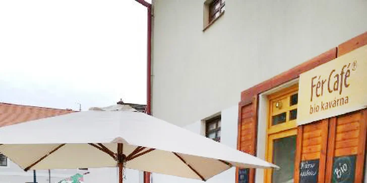 Bio polévka se žitným chlebem a třeba i slaný koláč pro 1 nebo 2 osoby