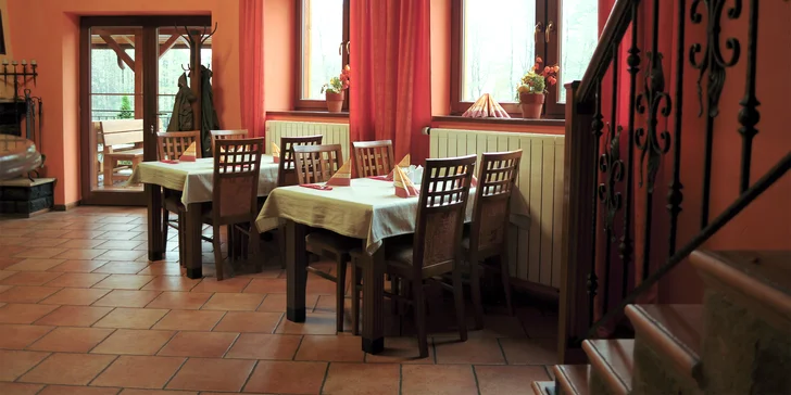 Svatomartinské menu pro dva: paštika, husa se zelím i knedlíky, štrúdl a káva