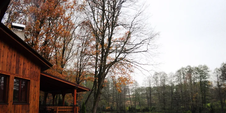 Tříchodové menu v restauraci na břehu rybníka: paštika, jelení kýta a palačinky