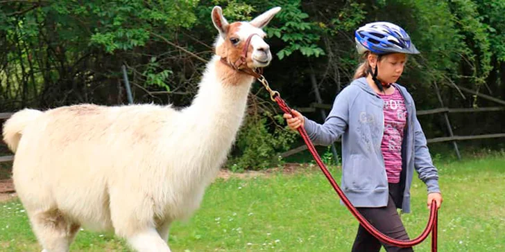 S dětmi za zvířátky: setkání na farmě a procházka s kozami nebo lamou