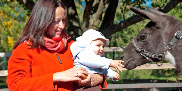S dětmi za zvířátky: setkání na farmě a procházka s kozami nebo lamou
