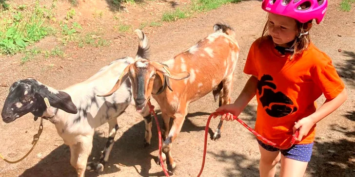 S dětmi za zvířátky: setkání na farmě a procházka s kozami nebo lamou