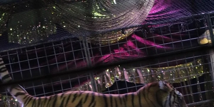 Cirkus plný superhrdinů: vstupenky na akční cirkusový program pro děti i dospělé