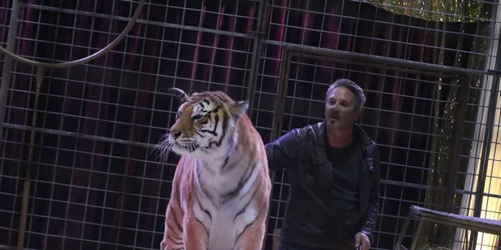 Cirkus plný superhrdinů: vstupenky na akční cirkusový program pro děti i dospělé