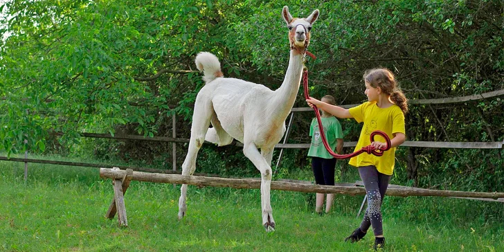 S dětmi za zvířátky: setkání na farmě a procházka s kozami nebo lamou