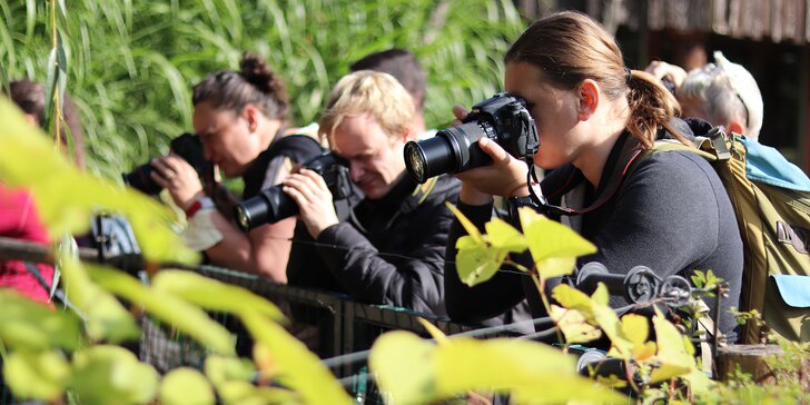 Fotografický prémium kurz v 6 různých zoo pro začátečníky i pokročilé