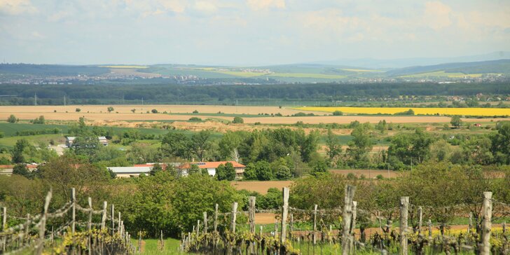 Pobyt v rodinném vinařství na Slovácku: víno, degustace i wellness