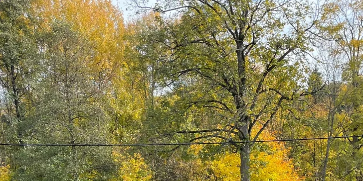 Ubytování v luxusní horské chatě se soukromým wellness na Dolní Moravě