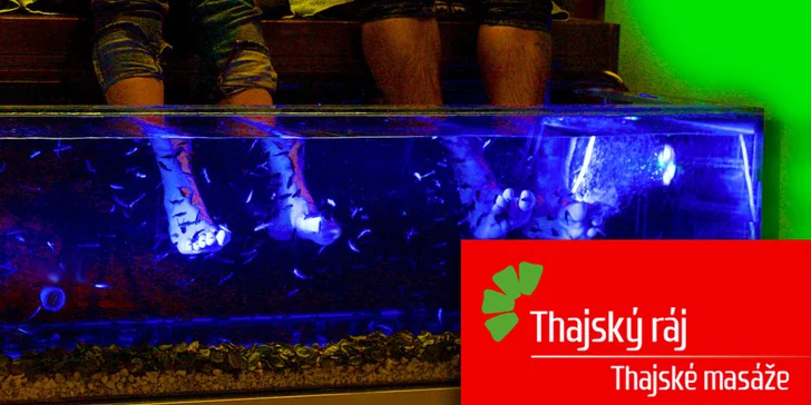 Příjemný relax s rybičkami Garra Rufa v Thajském ráji: 25minutová procedura