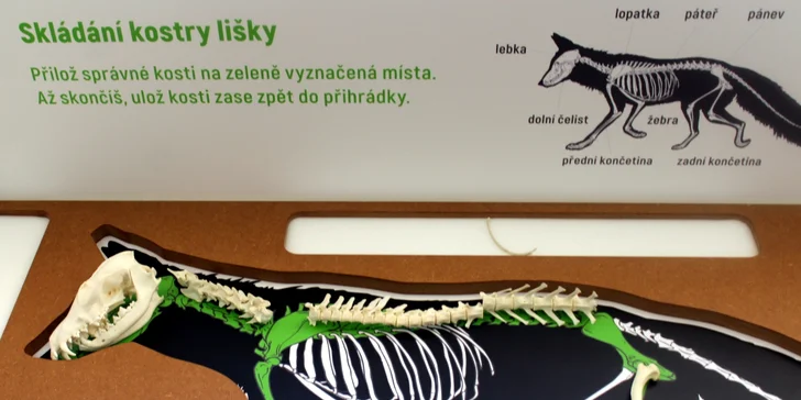 Jednotlivé či rodinné vstupenky na stálé expozice Muzea Vyškovska