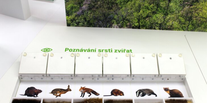 Jednotlivé či rodinné vstupenky na stálé i sezonní expozice Muzea Vyškovska