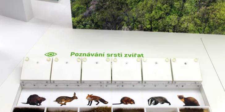 Jednotlivé či rodinné vstupenky na stálé expozice Muzea Vyškovska